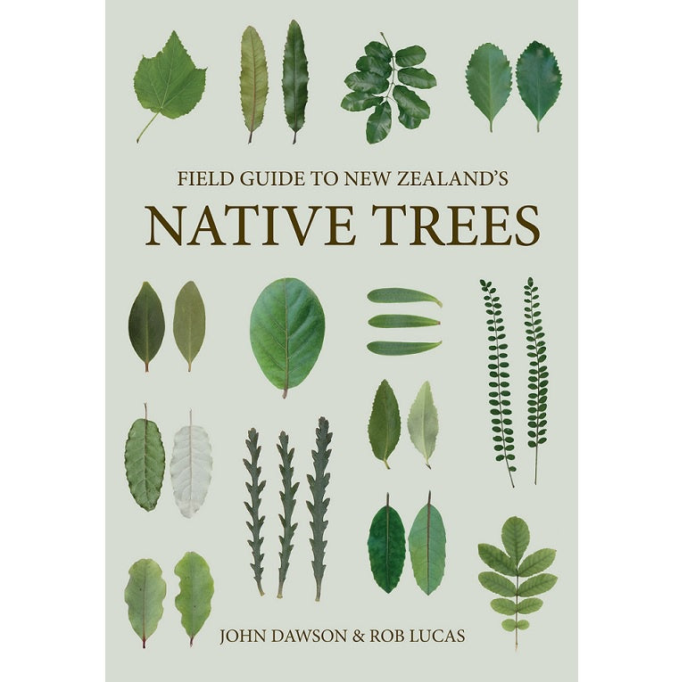 Field Guide to New Zealand's Native Trees