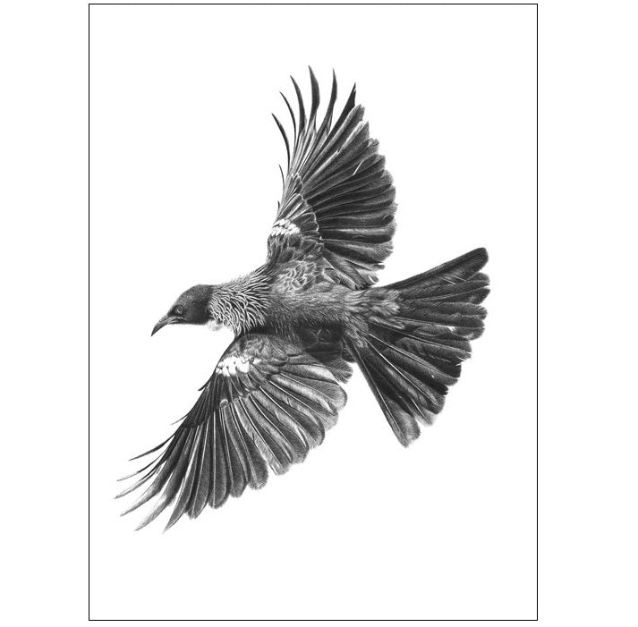 Hannah Shand Prints
