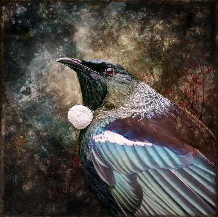 Judi Lapsley Miller Prints - Medium