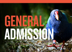 General Admission Gift Voucher