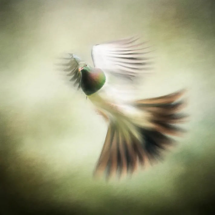 Judi Lapsley Miller Prints - Medium