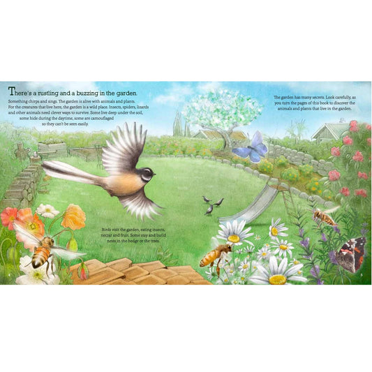 In the Garden: Explore & Discover the New Zealand Backyard