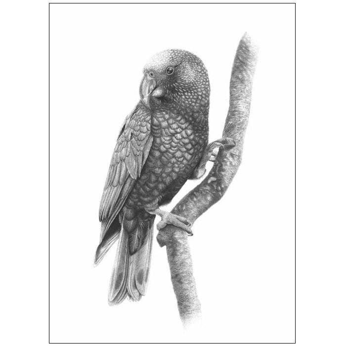 Hannah Shand Prints