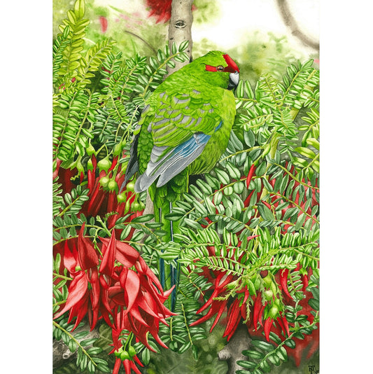 Tom Nordmeier Watercolour Prints