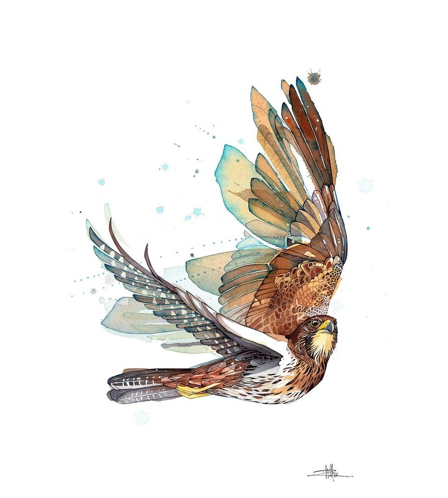 Rachel Walker Watercolour Artwork Prints