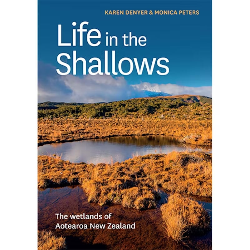 Life In The Shallows