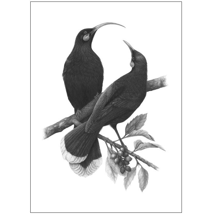 Hannah Shand Prints