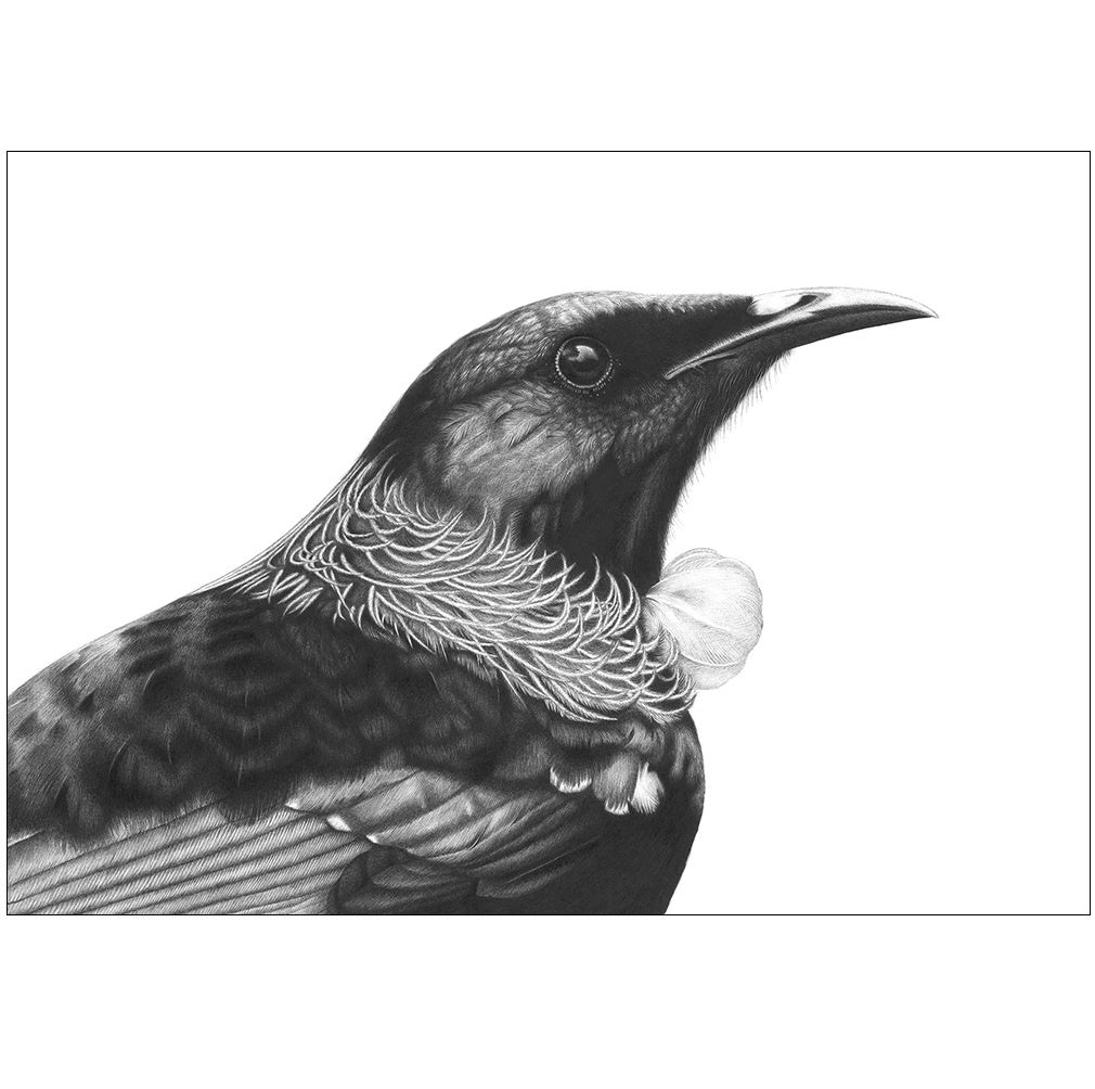 Hannah Shand Framed Tui Print