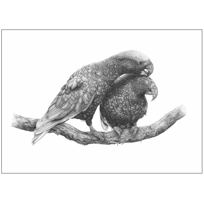 Hannah Shand Prints