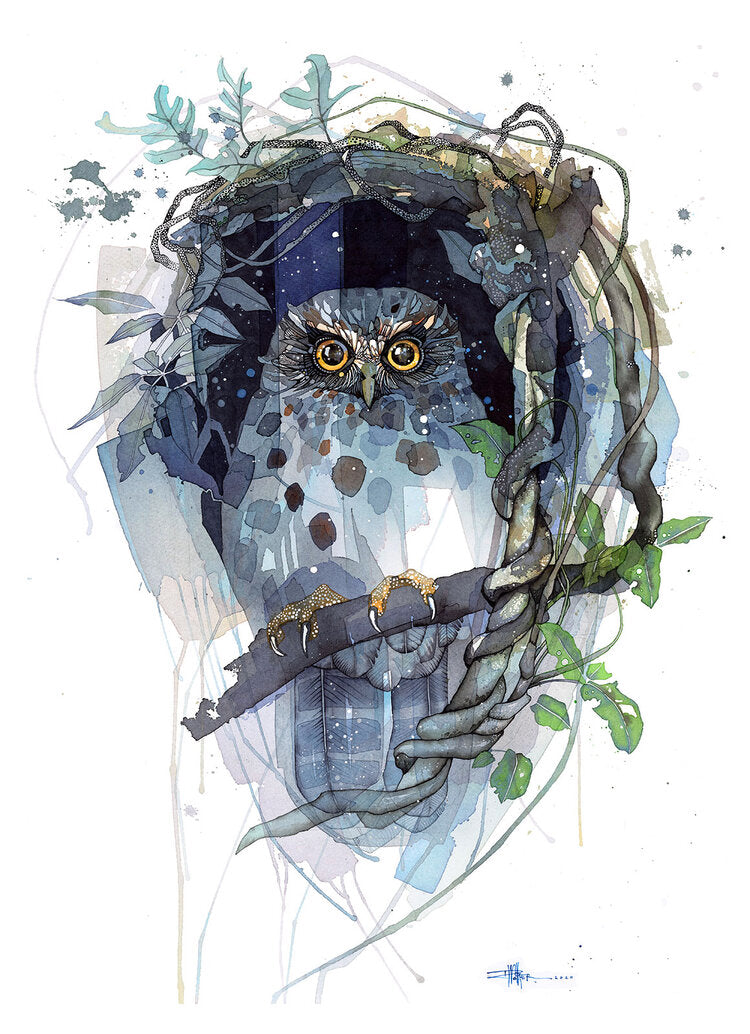 Rachel Walker Watercolour Artwork Prints