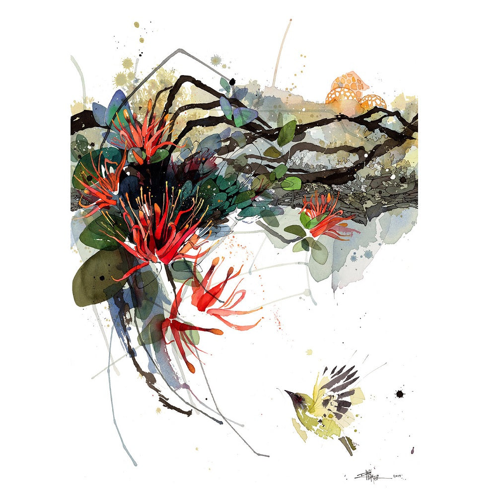 Rachel Walker Watercolour Artwork Prints