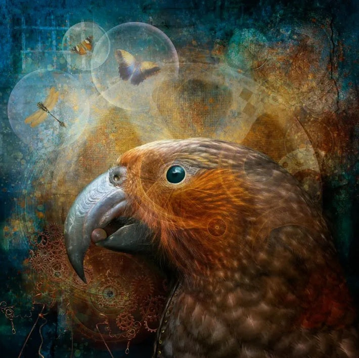 Judi Lapsley Miller Prints - Medium