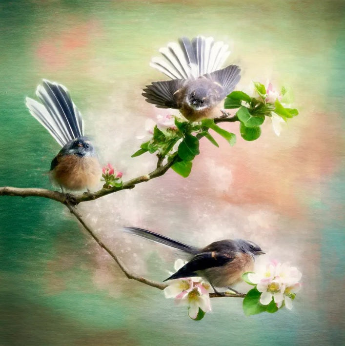 Judi Lapsley Miller Prints - Medium