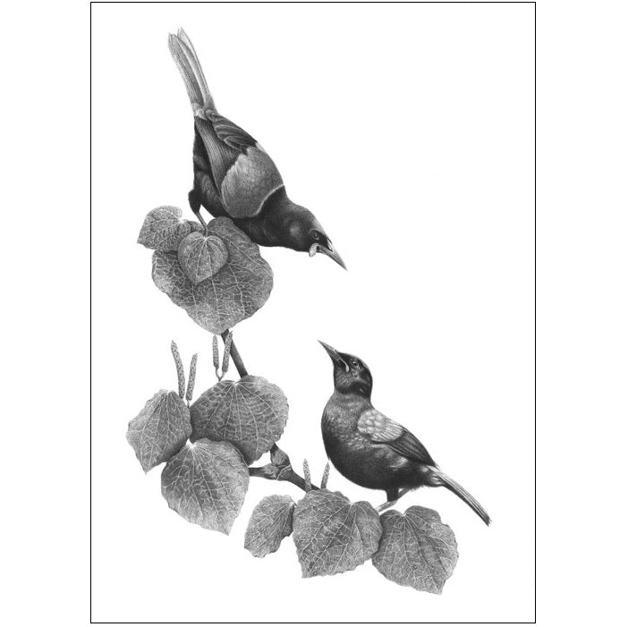 Hannah Shand Prints