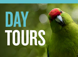 Zealandia By Day Tour Gift Voucher