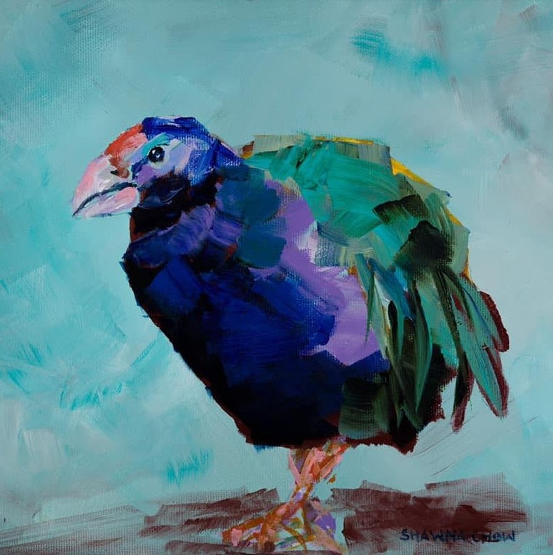 Spotlight On: Takahē
