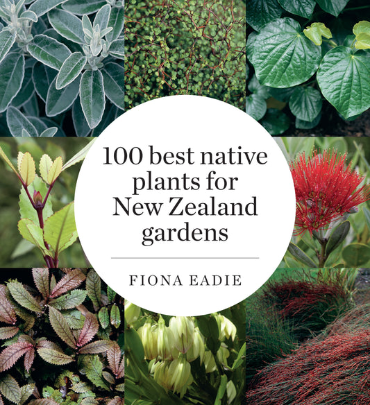 100 Best Native Plants For New Zealand Gardens