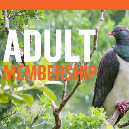 Zealandia Gift Membership - One Adult
