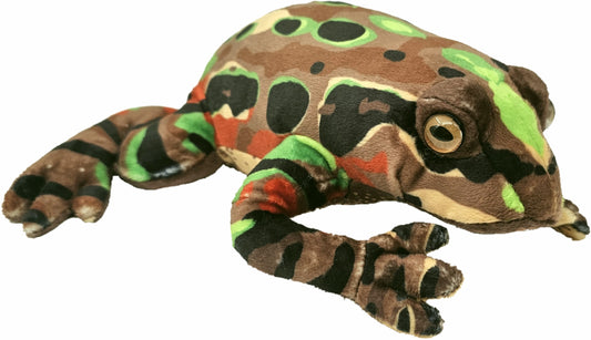 Archey's Frog Soft Toy