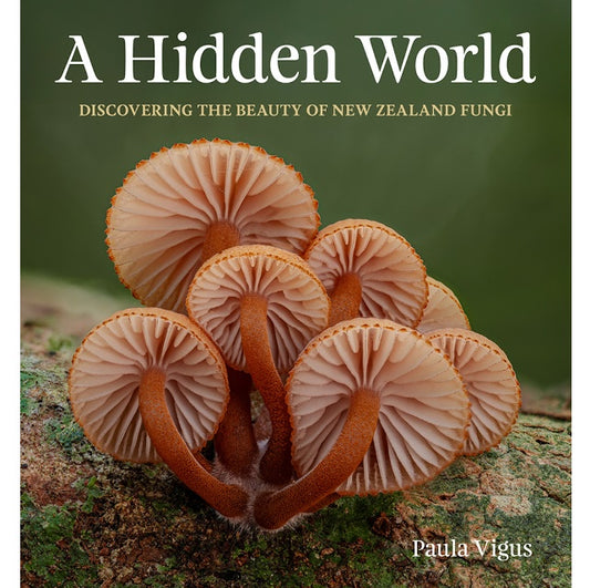 A Hidden World: Discovering the Beauty of New Zealand Fungi