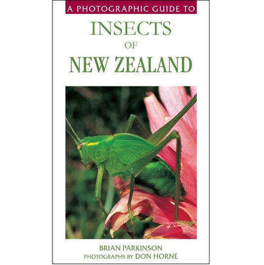 A Photographic Guide to Insects of New Zealand