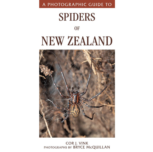 A Photographic Guide to Spiders of New Zealand