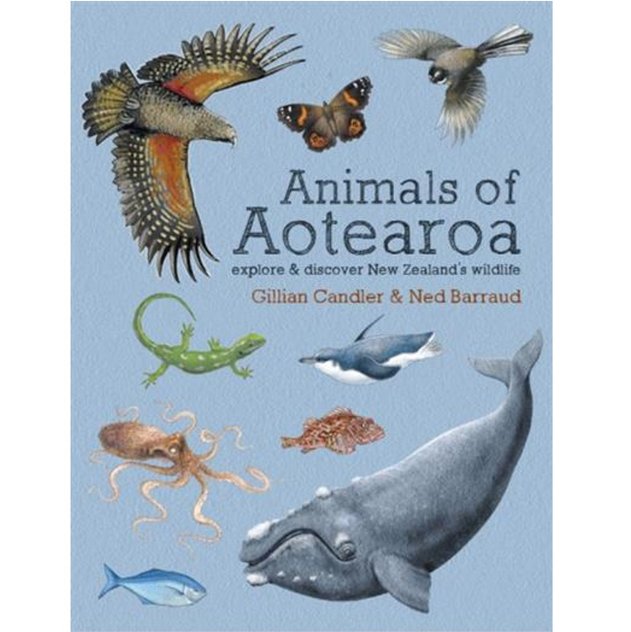 Animals of Aotearoa: Explore and Discover New Zealand's Wildlife