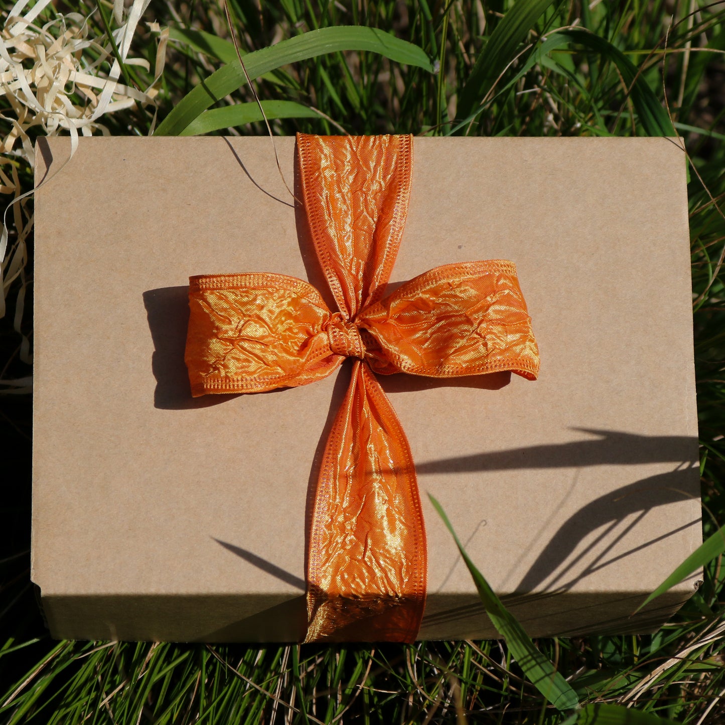 Gift Bundle - Zealandia Mug & Kawakawa Tea