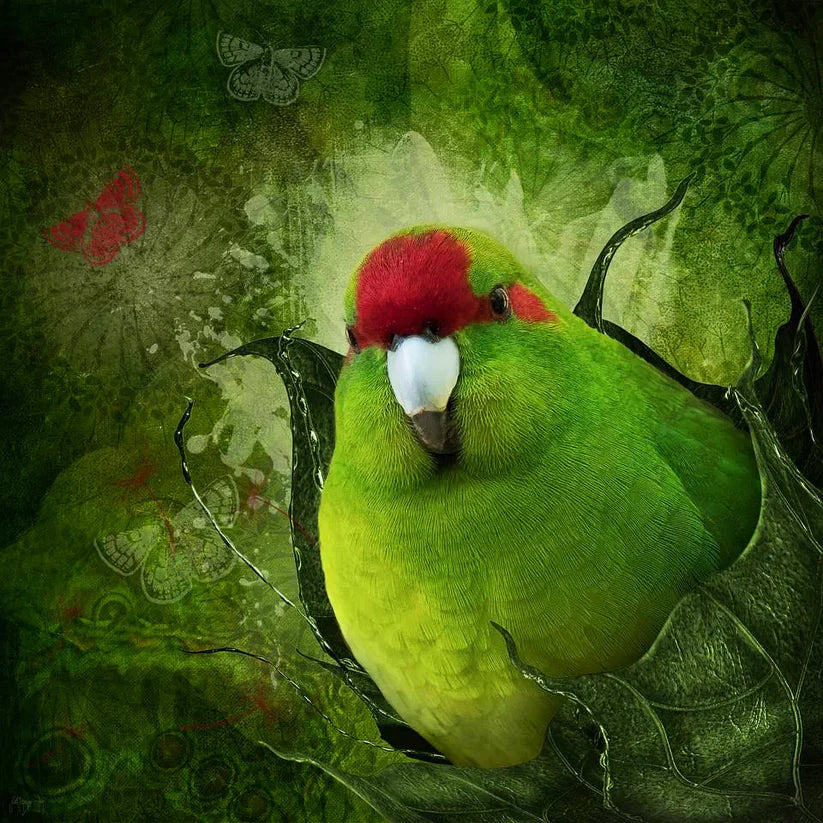 Judi Lapsley Miller Prints - Small