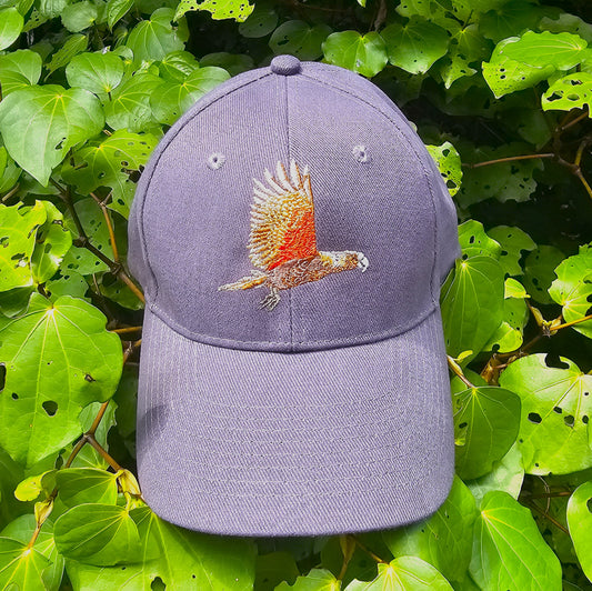 Zealandia Kākā Cap