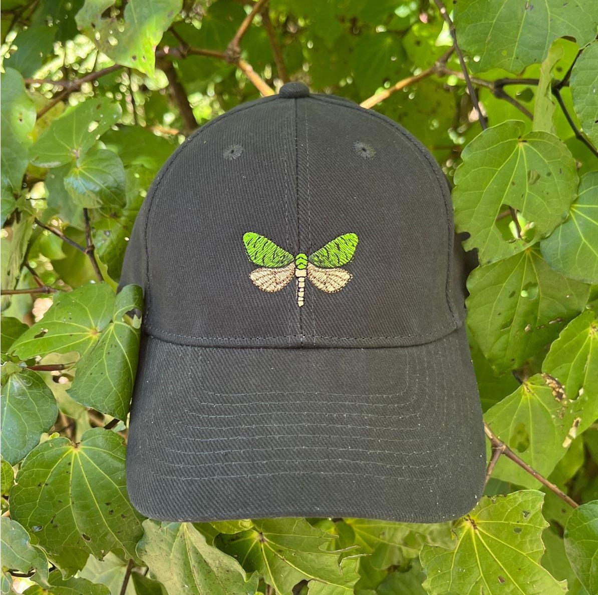 Zealandia Puriri Moth Cap
