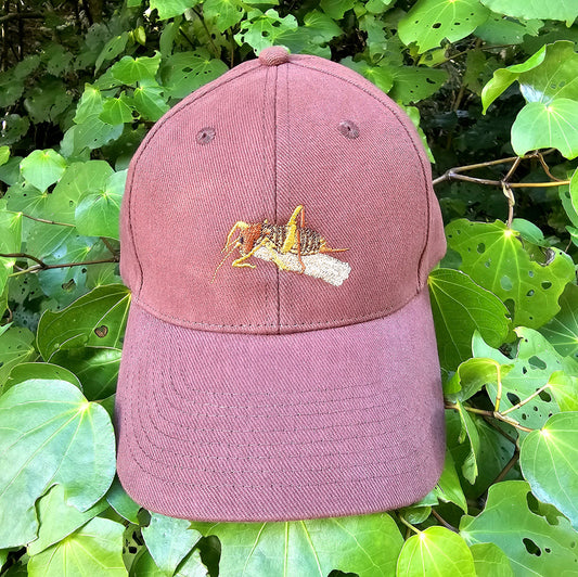 Zealandia Wētā Cap