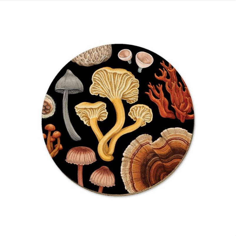 Native Fungi Coasters