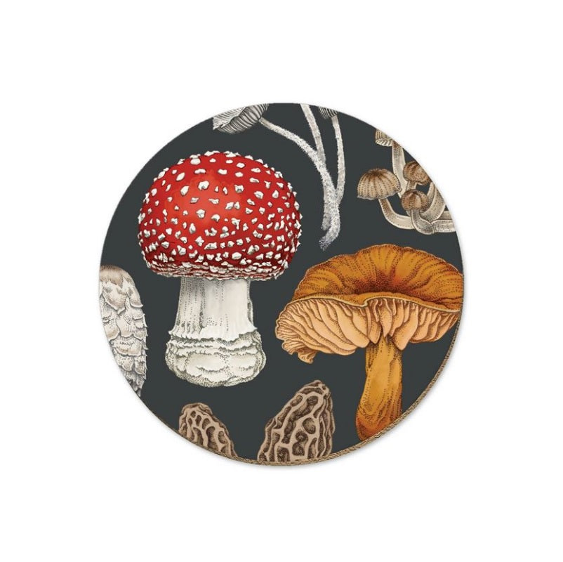 Native Fungi Coasters