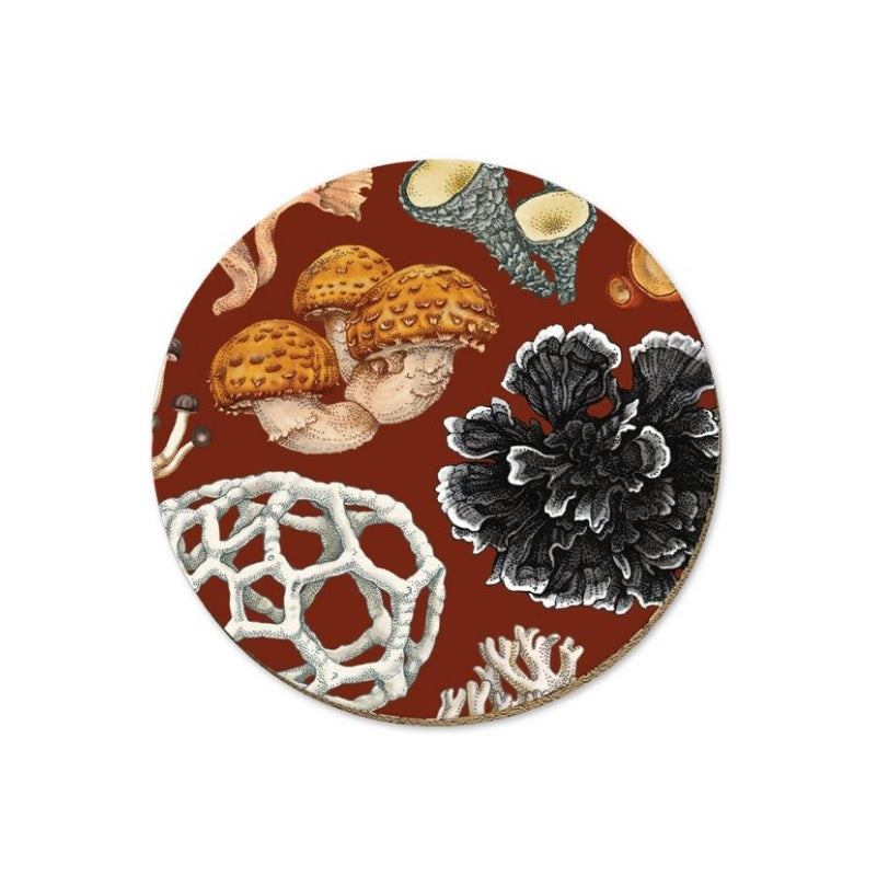 Native Fungi Coasters