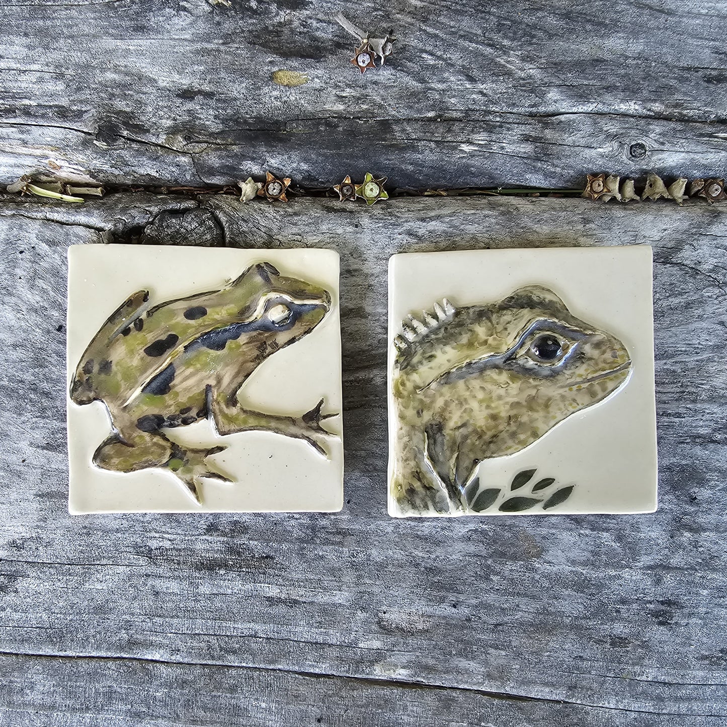 New Zealand Fauna Ceramic Wall Tile