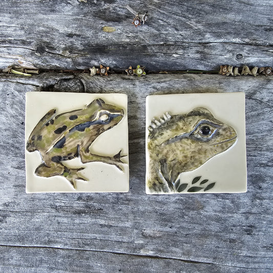 New Zealand Fauna Ceramic Wall Tile
