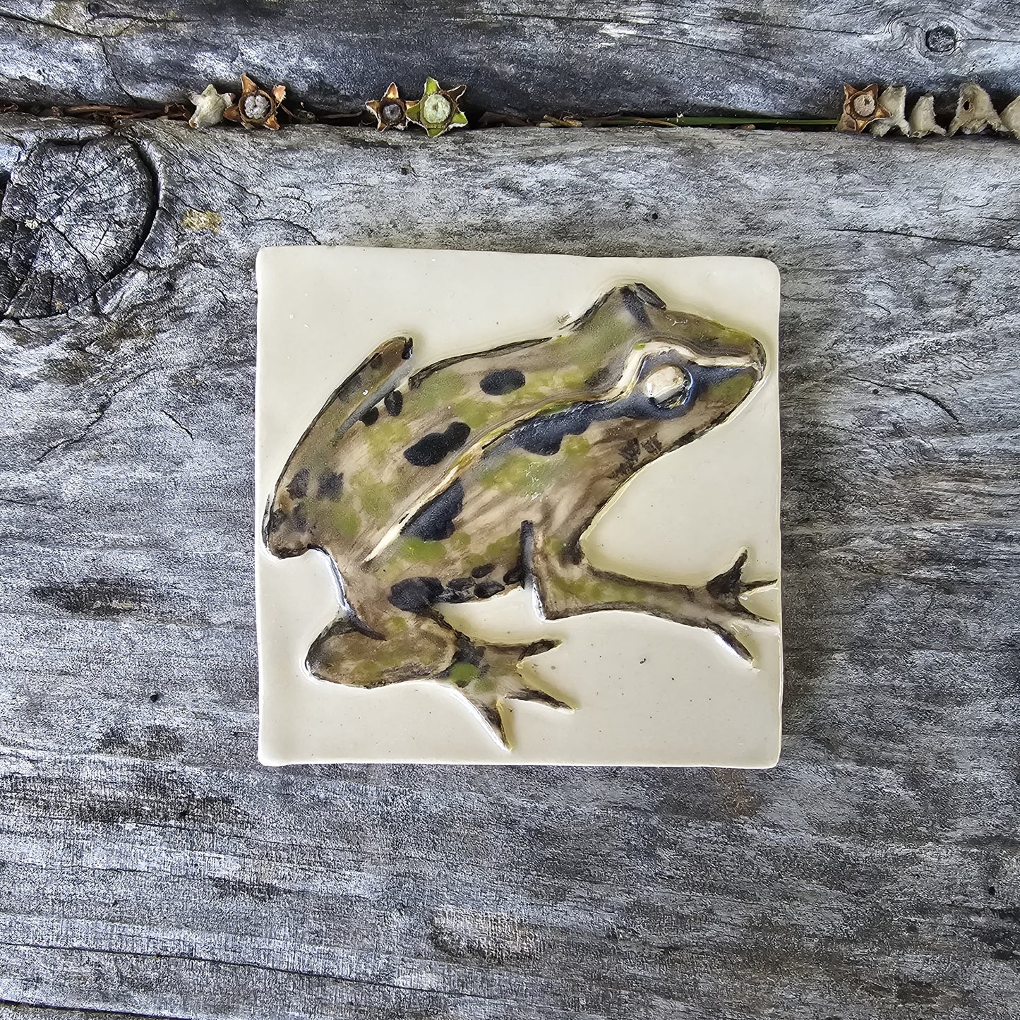 New Zealand Fauna Ceramic Wall Tile