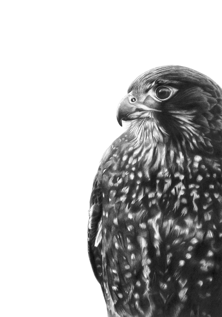 Hannah Shand Prints