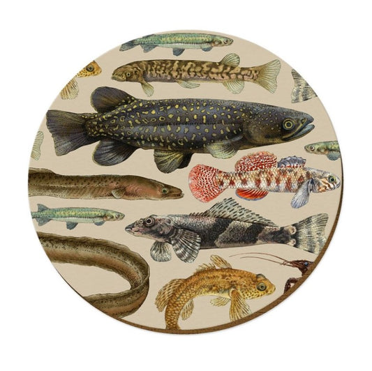 Native Fauna Placemats