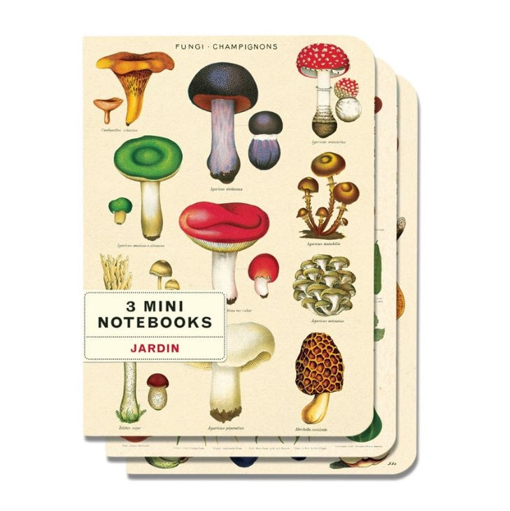 Fungi Notebook - Set of 3