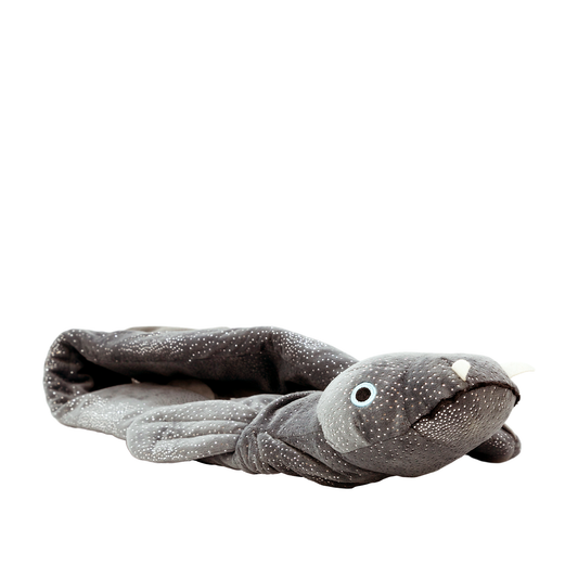 Hot Water Bottle - Ellie the Longfin Eel