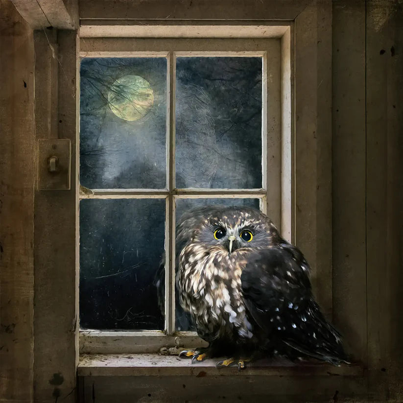 Judi Lapsley Miller Prints - Small