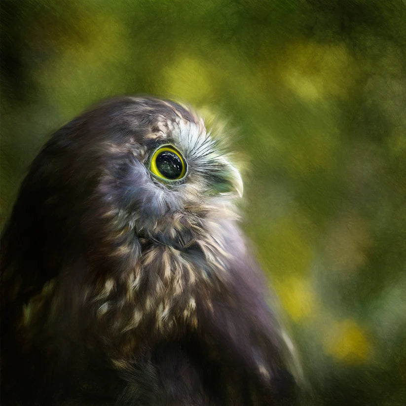 Judi Lapsley Miller Prints - Small
