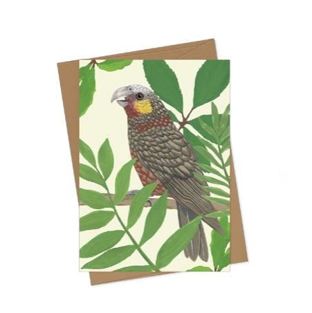 Melissa Boardman Greeting Cards