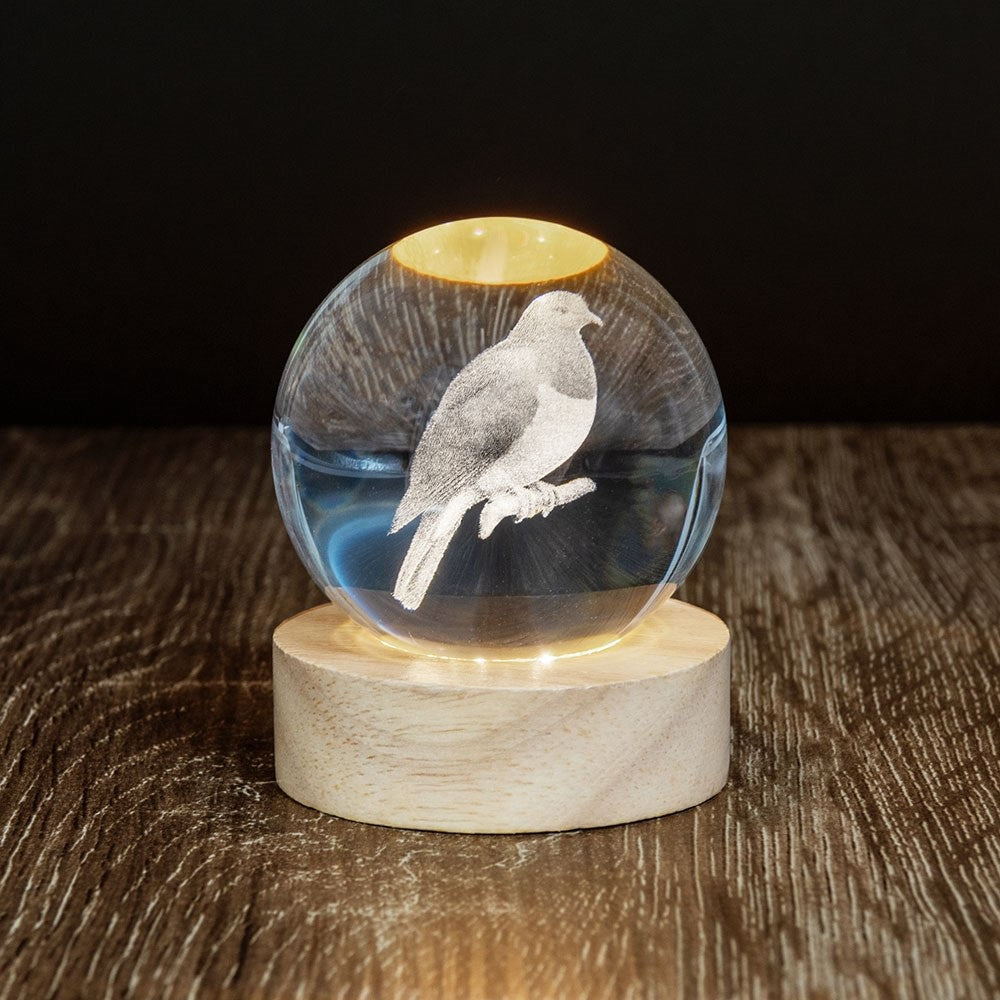Glass Globe Lamp - Kererū
