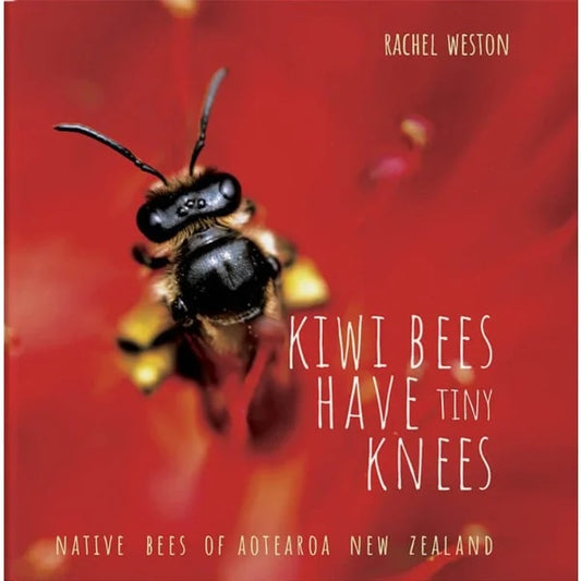 Kiwi Bees Have Tiny Knees