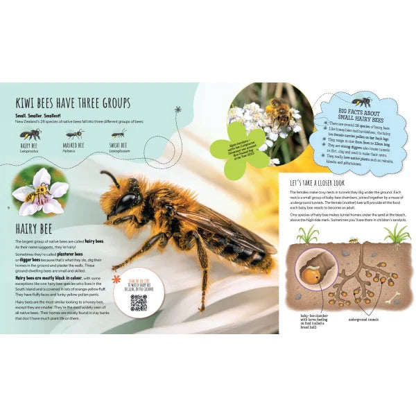 Kiwi Bees Have Tiny Knees
