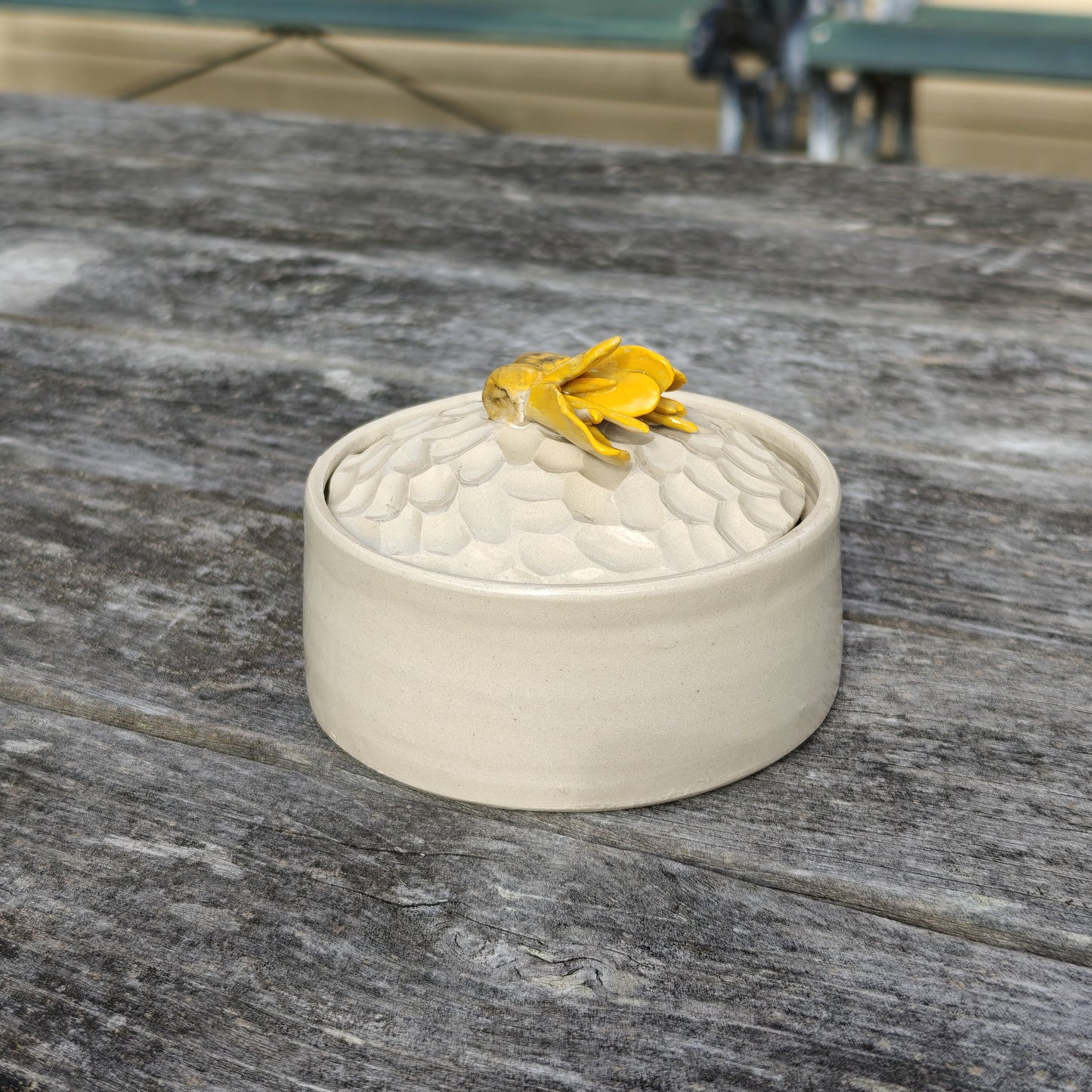Handmade Ceramic Jar - Kōwhai