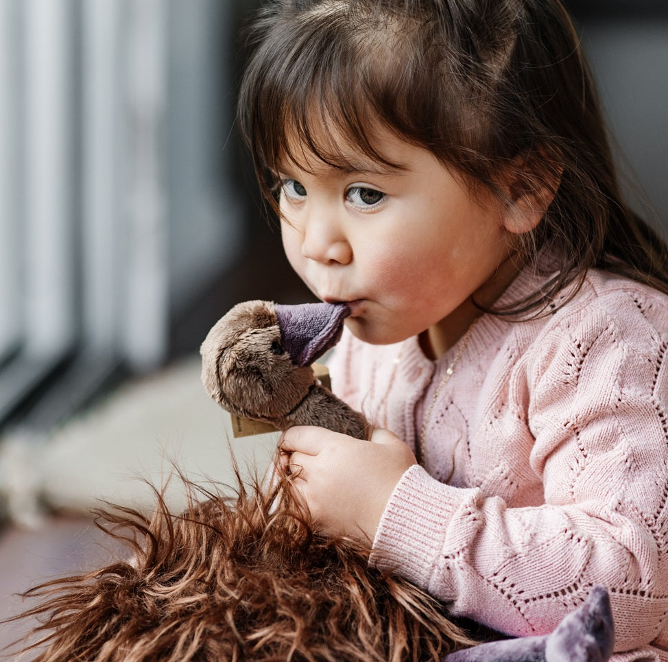 Mikaere the Moa Soft Toy